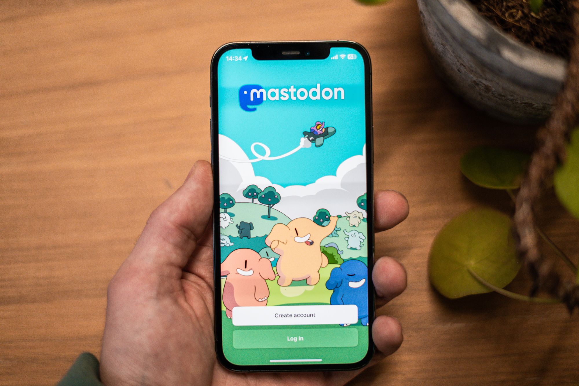 Mastodon Downloads Down 99% From Mid-November Peak